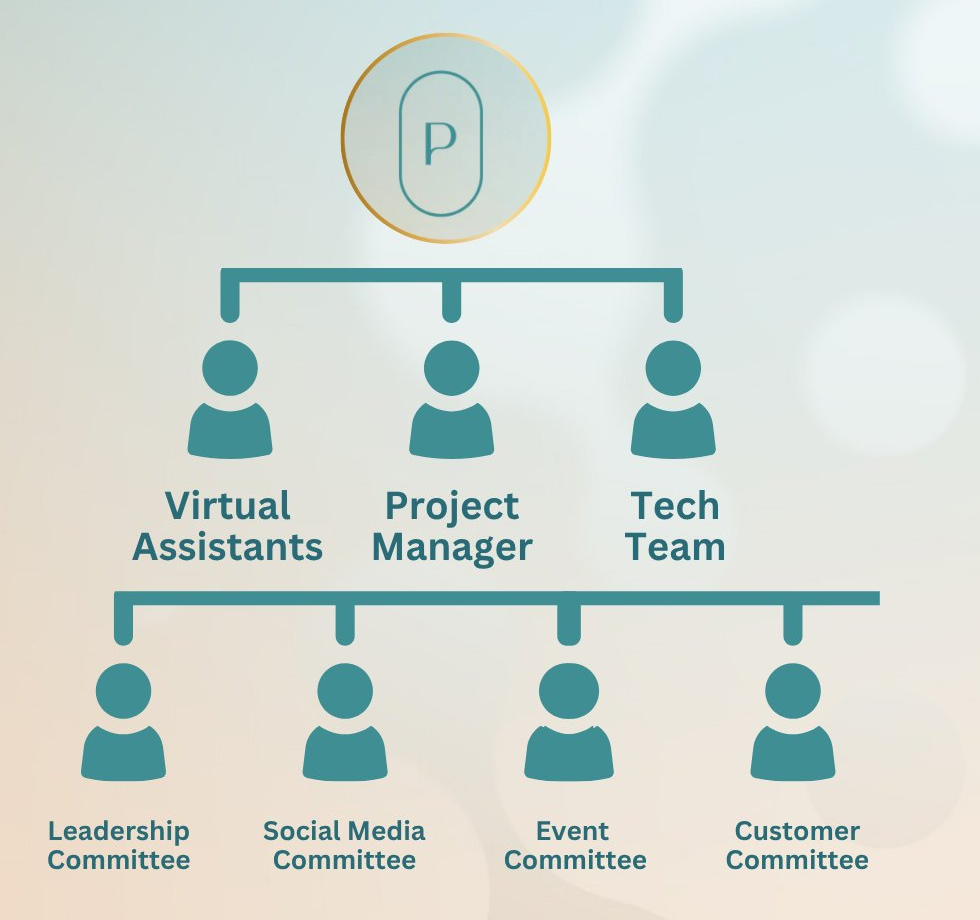 Organizational chart: Virtual Assistants, Project Manager, Tech Team, then Leadership, Social Media, Event and Customer Committees